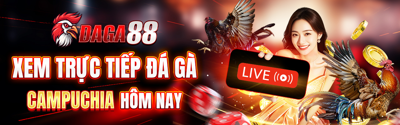 Xem trực tiếp đá gà campuchia hôm nay