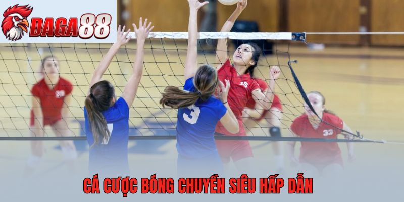 Cá cược bóng chuyền siêu hấp dẫn