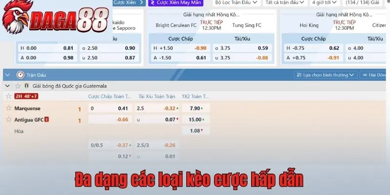 Đa dạng các loại kèo cược hấp dẫn 