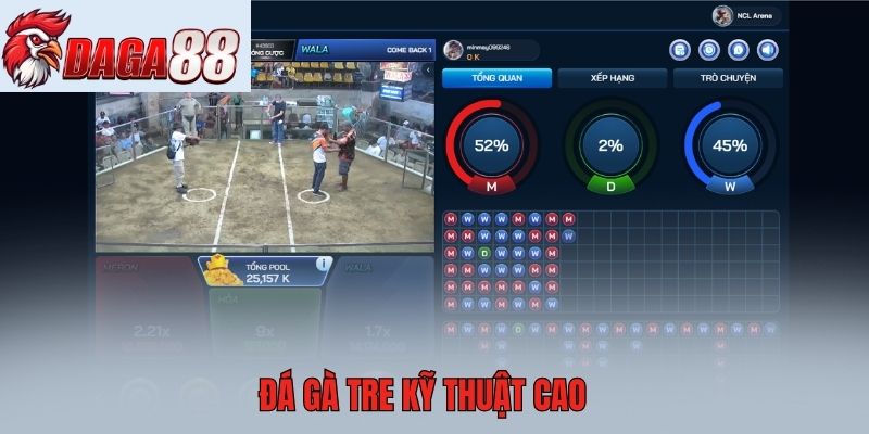 Đá gà tre kỹ thuật cao