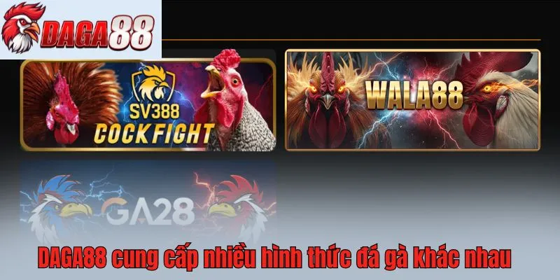 DAGA88 cung cấp nhiều hình thức đá gà khác nhau