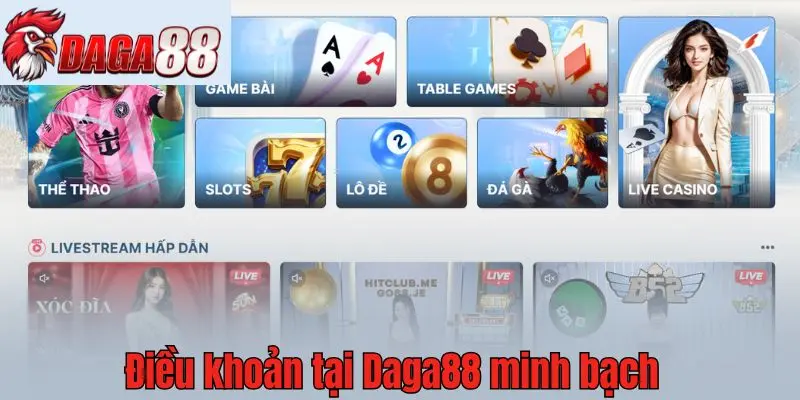 Điều khoản tại Daga88 minh bạch