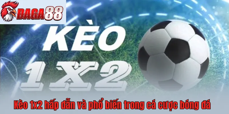 Tỷ lệ kèo châu Âu 1x2 được nhiều người tham khảo