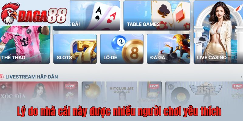 Lý do nhà cái này được nhiều người chơi yêu thích 