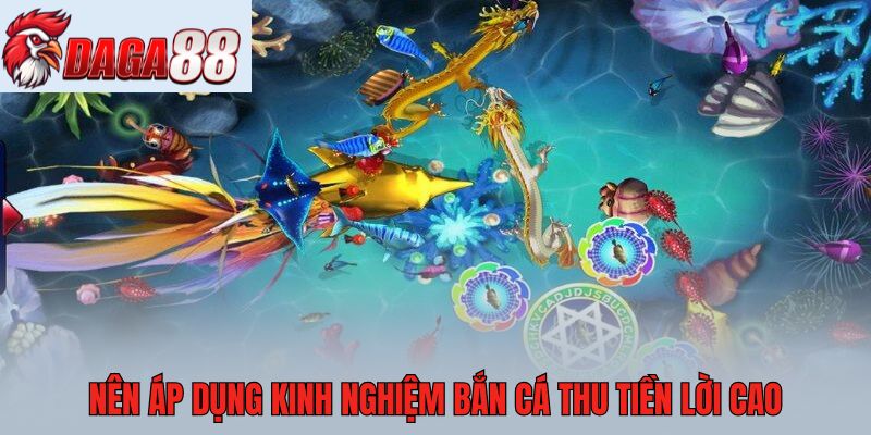 Nên áp dụng kinh nghiệm bắn cá thu tiền lời cao