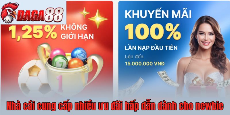 Nhà cái cung cấp nhiều ưu đãi hấp dẫn dành cho newbie