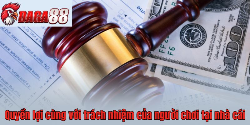 Quyền lợi cùng với trách nhiệm của người chơi tại nhà cái 