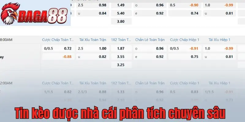 Tin kèo được nhà cái phân tích chuyên sâu