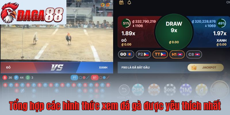 Tổng hợp các hình thức xem đá gà được yêu thích nhất